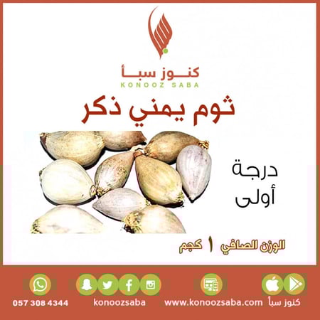 ثوم ذكر يمني درجة اولى