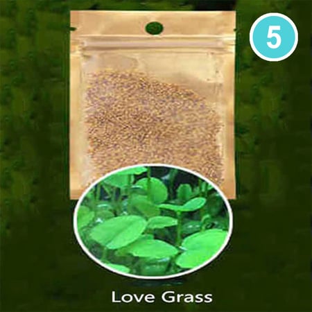 بذور نباتات احواض السمك نوع 5 Love Grass
