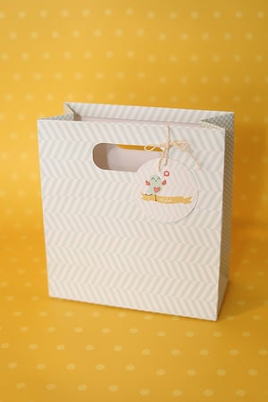 ألبوم أيامي الأولى