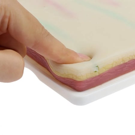 وسادة التدريب على المهارات الطبية