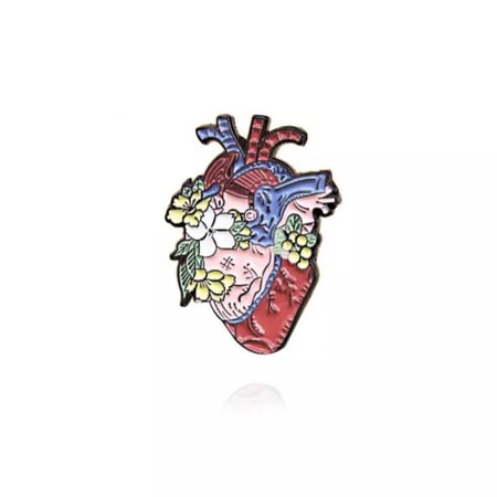 بروشات طبية لاعضاء الجسم