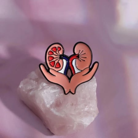 بروش الكلى، بروش الجهاز البولي