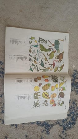 Oxford Picture Dictionary of American English