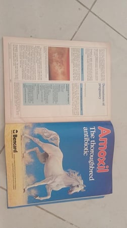 Medicine International (Middle Eastern Edition) العدد 50 فبراير 1988م