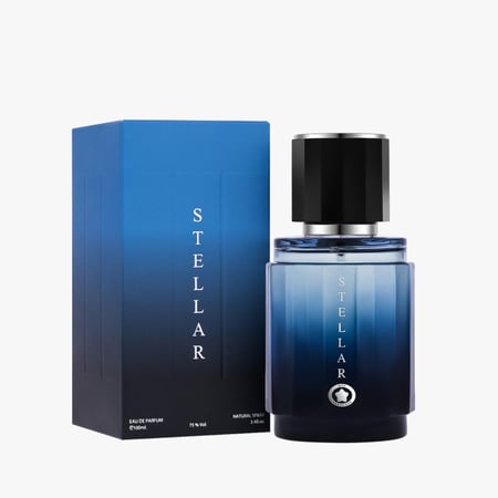 عطر ستيلر رجالى 100 مل