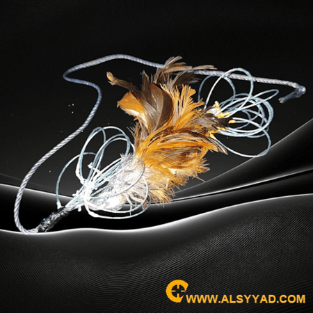 نقل 20 عين نوع الخيط برازيلي