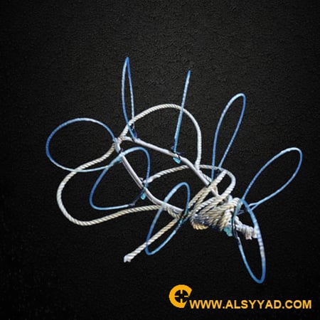 شبكة صقر مقاس حمام وقطا 8 عيون