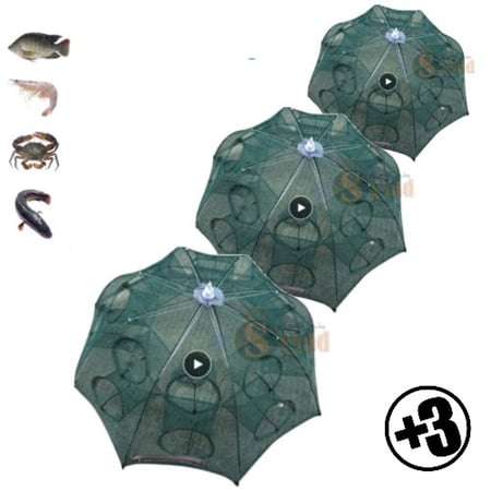 عدد ثلاثة صخاوي 12 عين