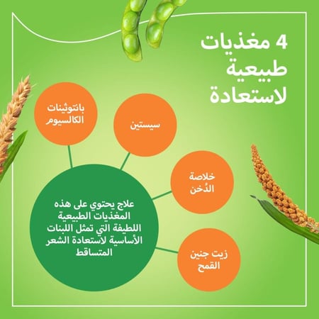 برايورين-ان لنمو الشعر 90 كبسولة Priorin N Rstorative For Hair 90 Capsules