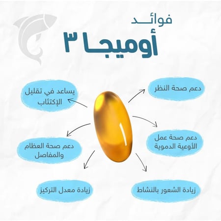 هوليستا، أوميغا 3 عالي الفعالية Holista High Potency Omega 3 - 1425mg Fish Oil - 80 Softgels