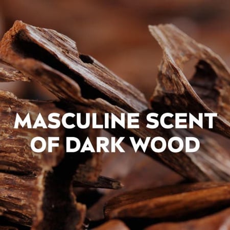 نيفيا مزيل عرق ستيك ديب بلاك كاربون دارك وود 50 ملNivea Deo Stick Deep Black Carbon Dark Wood 50 Ml