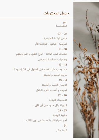 باقة الولادة الذكية (طبيعية + قيصرية)