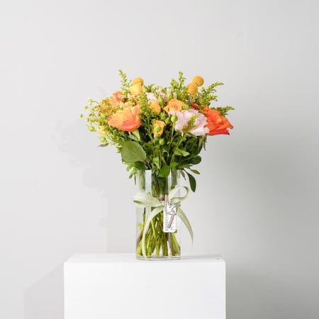 فازه سان رايز دلايت