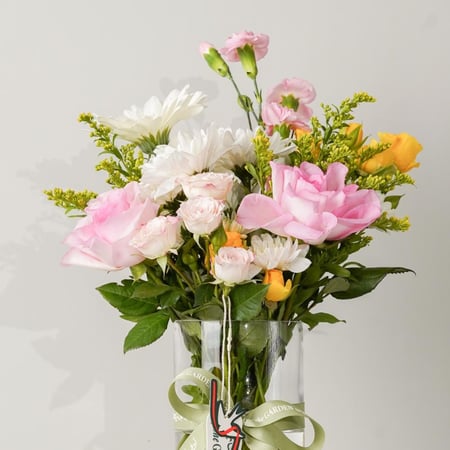 فازت التناغم