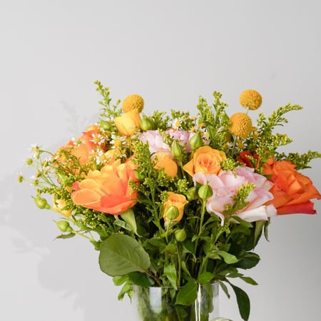 فازه سان رايز دلايت