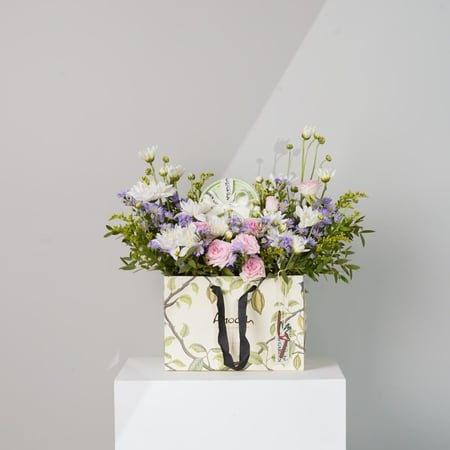 بوكس وطن الجمال