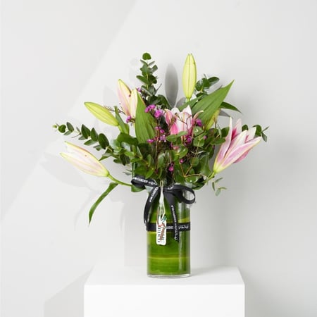 فازة الجمال