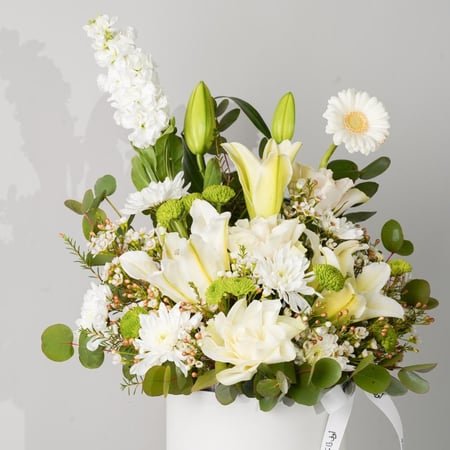 بوكس البياض