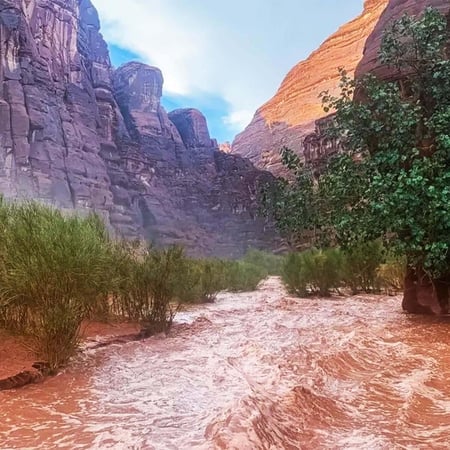 جولة الزيته ومغائر شعيب - السعودية