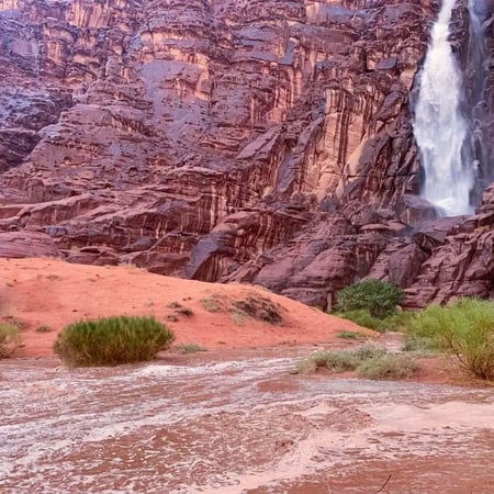 جولة الزيته - تبوك