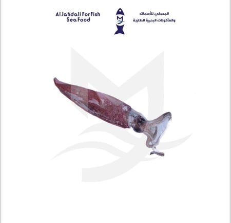 حبار / كلماري ( 1ك )