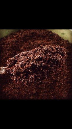 مبثوث العرايس