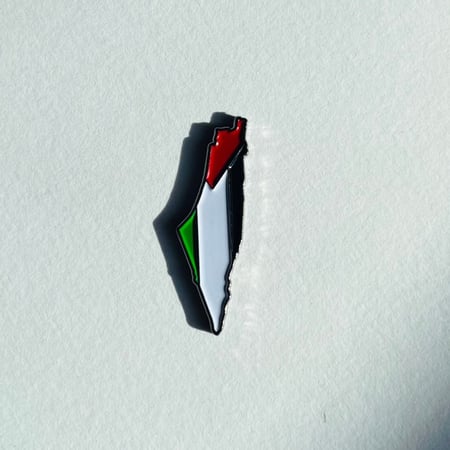 فلسطين مغناطيس