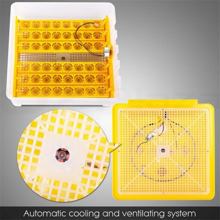 فقاسة منزلية 48 بيضة - حول الفرات