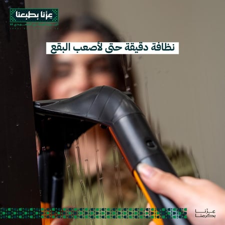 مكنسة تنظيف السجاد والكنب محمولة  من وكس