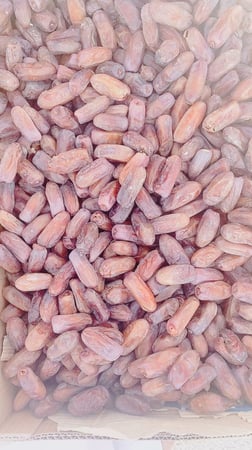 سطل تمر برني طري 1.5 ك