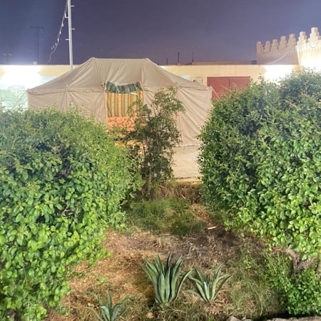 شاليه المسك ( بيشة ) غيمة جنوب المدينة قرب عمائر الشاعر
