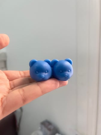 فوحات الدب والارنب