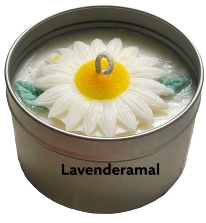 شمعة دوار الشمس