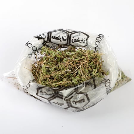 زعتر بري شمالي