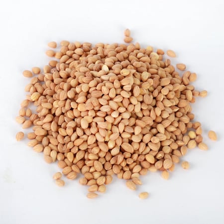 محلب ابيض سوري - عطار الخزم