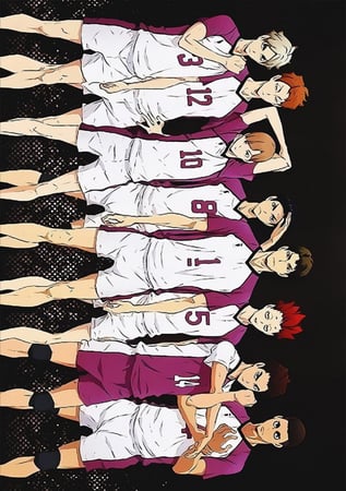 shiratorizawa poster 2