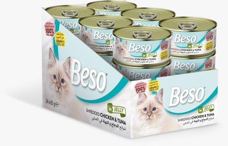 كرتون شرائح الدجاج والتونة في الجيلي