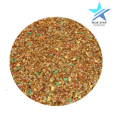 بهجه لطيور البادجي