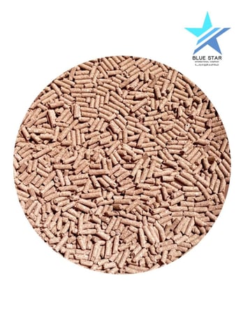 الوسام حملان علف أغنام