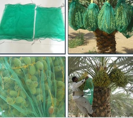 5 اكياس لحفظ الرطب