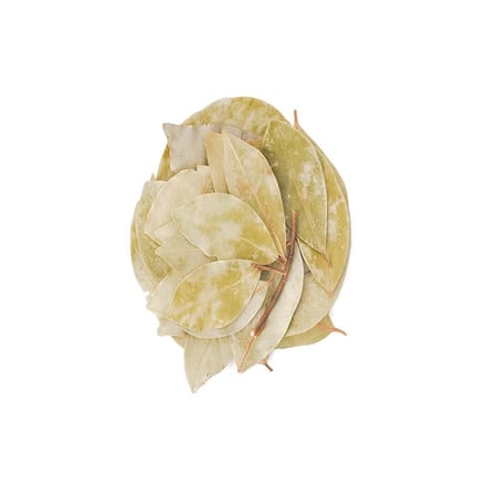 ورق غار