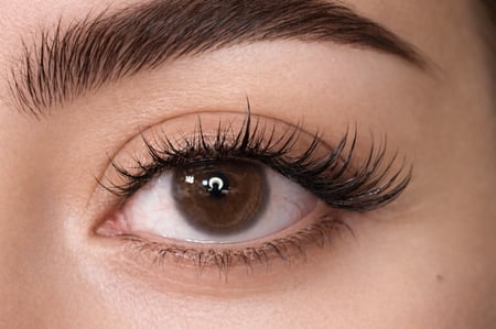 قروب  آنمي H02