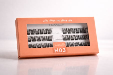 قروب فانسي H03