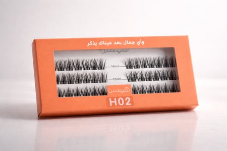 قروب  آنمي H02