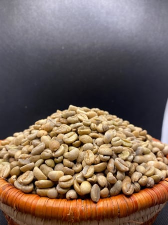 بن خولاني ممتاز من جبال جازان