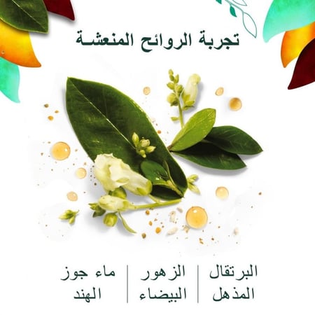 شامبو نعومه زيت مورينغا الذهبي من هربل إيسنسز -400مل