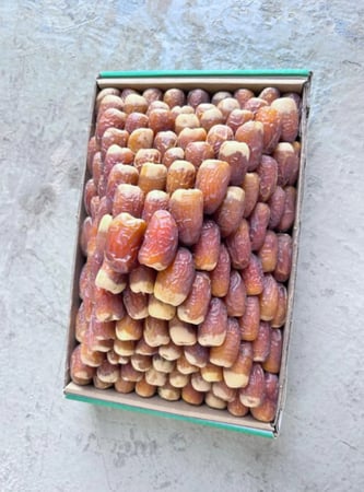صقعي سوبر ملكي