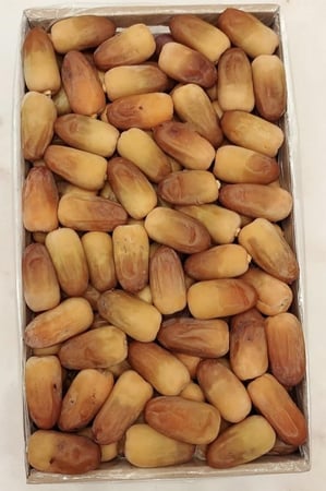 رطب عسيلة