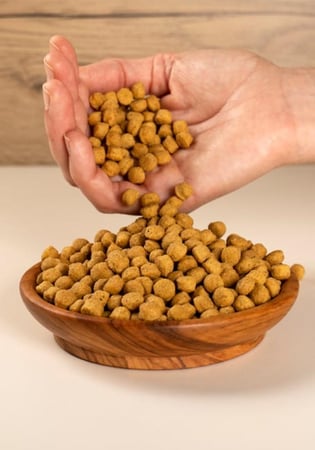 سيتاكوس هاي بروتين - PSITTACUS High Protein