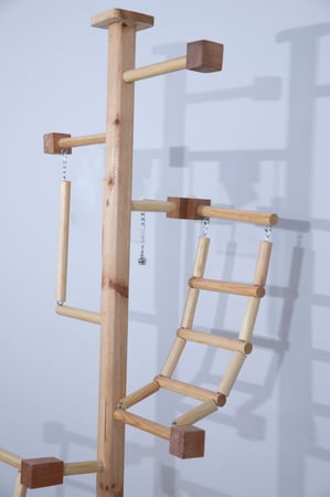 حامل خشبي سلم للطيور